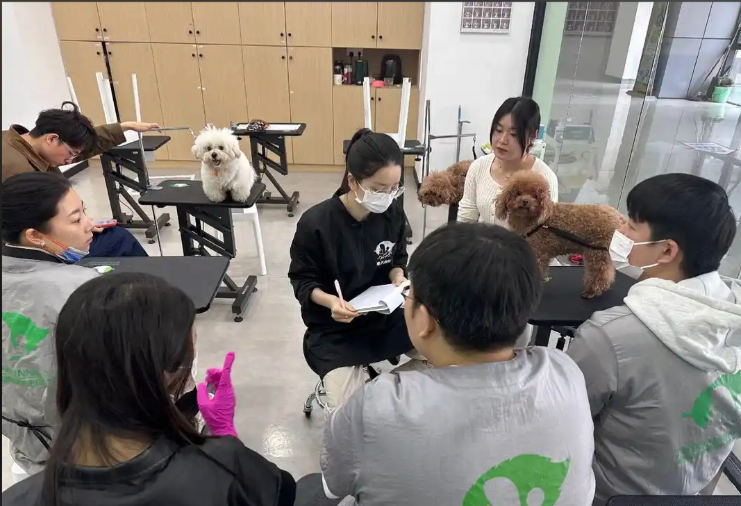 开封市宠物美容培训宠物美容培训学校 - 排名